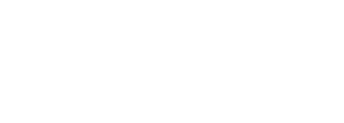 ACC Digital Solutions